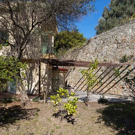 Natural Beauty Villa *